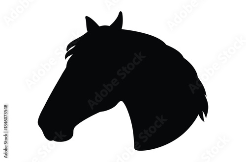 Horse head vector silhouette, Horse portrait vector illustration, black horse head silhouette