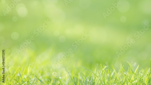 Φωτογραφία Vibrant spring grass creating a warm, bright nature background with soft bokeh l