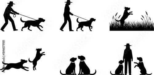 Dog behavior and companionship silhouettes – flavector vector set of walking, playing, and training scenes