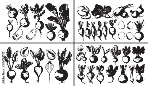 Botanical Root Vector, Plant Root Illustration, Garden Vegetable Art, Hand Drawn Botanical Design, Organic Plant Elements, Nature Root Drawing, Vintage Botanical Sketch, Herbal Plant Illustration, Nat