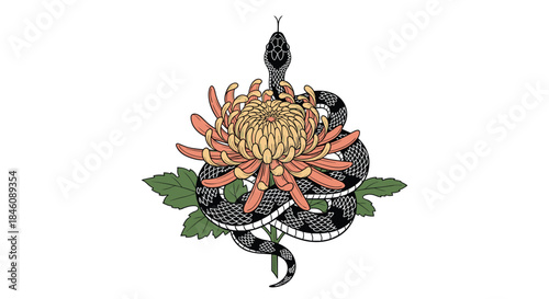A traditional Japanese-style tattoo illustration of a black snake coiled around a beautiful orange and yellow chrysanthemum flower.