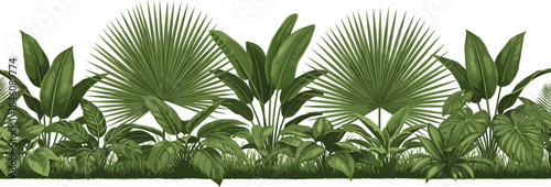 Tropical plant border illustration, lush green foliage design, exotic jungle leaves artwork, decorative botanical greenery strip, rainforest vegetation element for landscaping