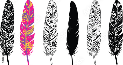Decorative feather illustration set with boho patterns, black white colorful tribal style isolated vector design elements modern artistic collection graphic