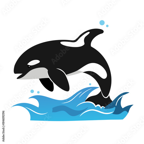 Killer whale jumping over blue ocean waves colorful flat vector illustration