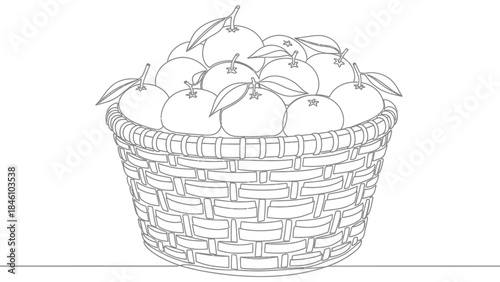Outline Illustration of a Basket Filled with Fresh Oranges and Leaves for Healthy Fruit Display