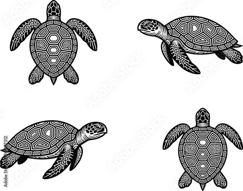Sea turtle illustration set, detailed marine reptile drawings, black white line art style, ocean wildlife design, isolated background, vector, graphic