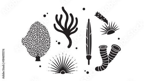  Elegant sea fan silhouettes with branching coral structures tube sponges and sea anemones for underwater habitat illustrations marine biodiversity projects and tropical ocean themed design elements.