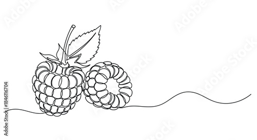 Minimalist single line drawing of two ripe raspberries with a leaf and stem on a white background with a subtle wavy line