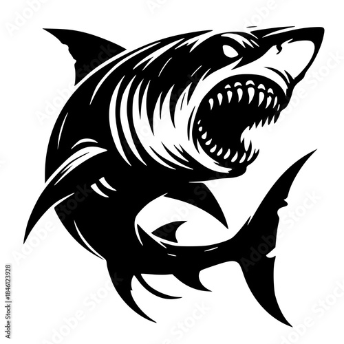 vector illustration of a shark , shark vector illustration 