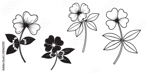 Adobe Illustrator Artwork