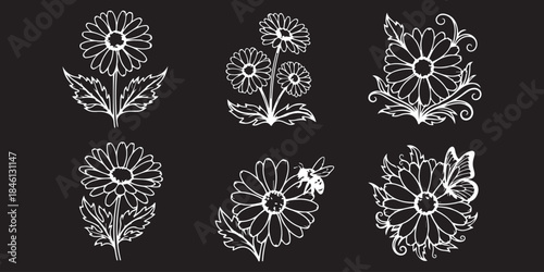 set of black and white floral patterns