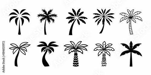 Collection of various black and white tropical palm tree silhouettes