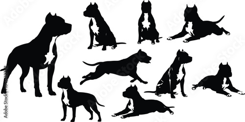 Stylized dog silhouette set, black vector icons, white chest and paws, sitting, standing, running, lying poses, pet illustration