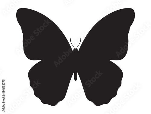 Tableau sur toile Blue Morpho Butterfly in silhouette white background.