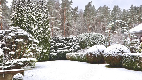 Snow covering a decorative garden with topiary shrubs and evergreen trees under a winter sky