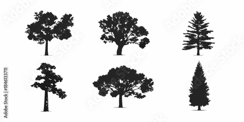 Silhouettes of various trees a collection of different forest shapes