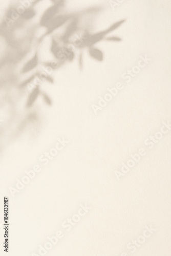 Soft shadow of eucalyptus leaves cast on a light beige textured background