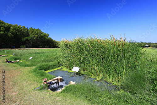 Foto Laem Phak Bia Royal Project is project to treat both wastewater and solid waste