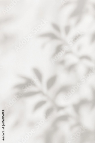 Soft blurred shadow overlay of tropical leaves on a light background