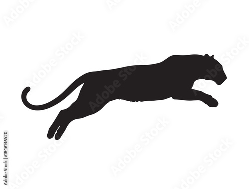 Leopard in silhouette white background.