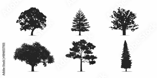 Silhouettes of various tree types against a plain white background