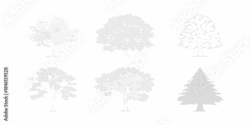 A collection of six different tree silhouettes against a white background