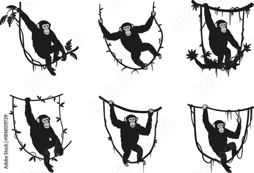 Chimpanzee silhouette cartoon set swinging on vines, playful monkey poses in jungle, black and white wildlife illustration design