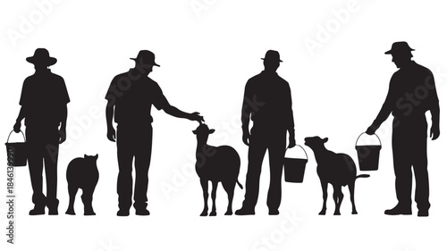 Farmers Feeding Sheep with Buckets on Farm