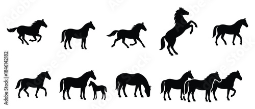 Horse Silhouettes Collection