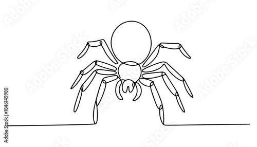 One continuous line illustration of an spider , isolated on white background.