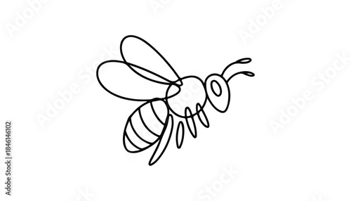 One continuous line illustration of an honey bee, isolated on white background.