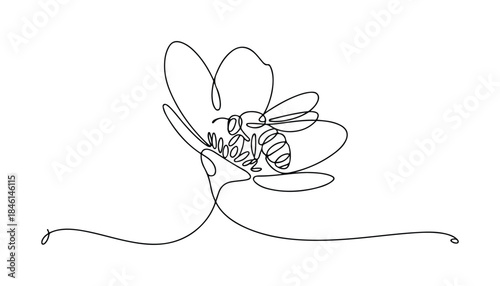 One continuous line illustration of an honey bee, isolated on white background.