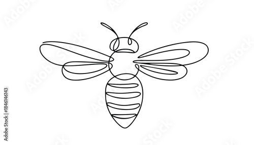 One continuous line illustration of an honey bee, isolated on white background.