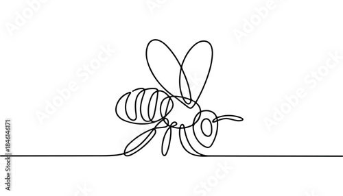 One continuous line illustration of an honey bee, isolated on white background.