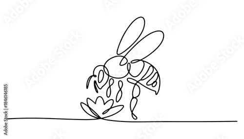One continuous line illustration of an honey bee, isolated on white background.