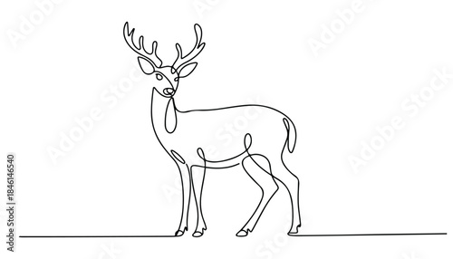 One continuous line illustration of an deer , isolated on white background.