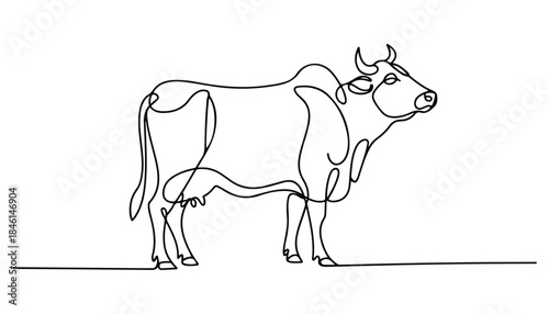 One continuous line illustration of an Indian cow, isolated on white background.