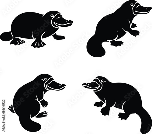 Platypus silhouette vector illustration set, a collection of four simple black icons of the unique australian mammal.