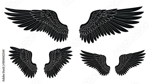 Detailed black wing illustrations a set of four different wing designs