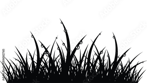 A simple black and white silhouette of blades of grass with water droplets