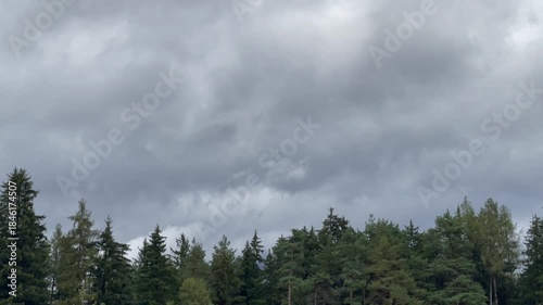 Overcast Sky Above Forest Treeline