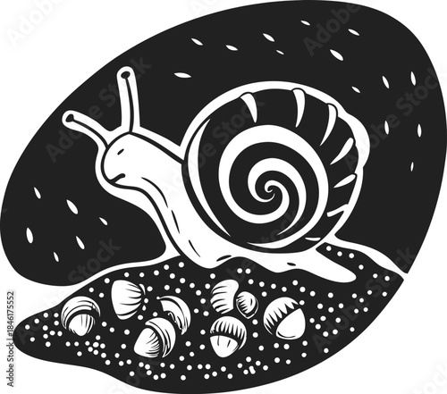 Snail with spiral shell on sandy ground with seashells black and white stylized illustration of slow nature life