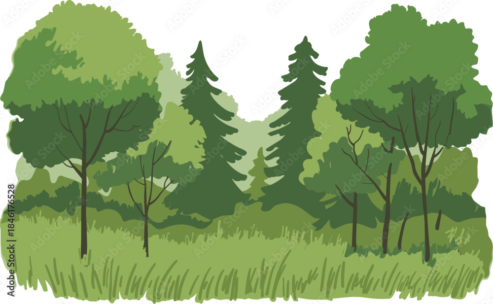 Fototapeta premium Green forest landscape illustration with trees meadow grass nature background for eco design, cartoon woodland scenery spring environment park vector
