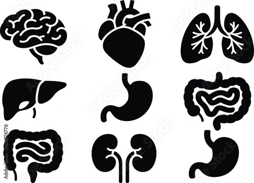 Human, anatomy, organs, icon, set, vector, illustration, brain, heart, lungs, liver, stomach, intestines, kidneys, digestive,