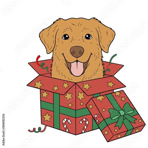 A Christmas gift containing an adorable brown dog. The gift box combines red and green with stars.