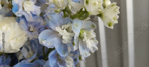 blue hyacinth flower in vases