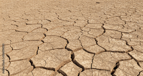 Cracked dry earth texture - drought desert cracked ground background