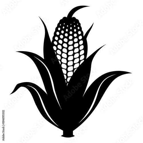 Stylized black and white silhouette of a single ear of corn with its husk and leaves Vector