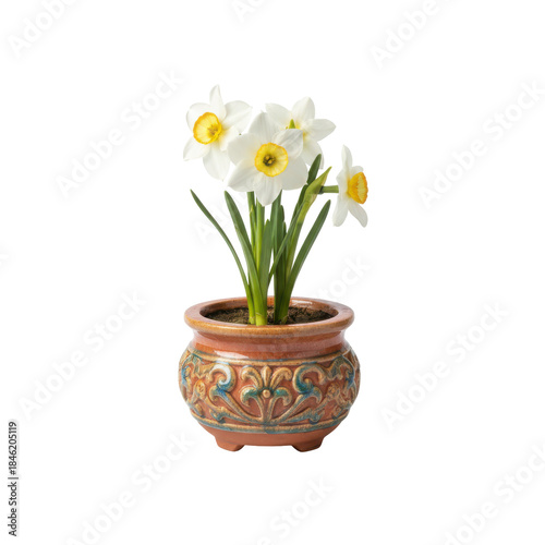 Wallpaper Mural Delicate white daffodils bloom vibrantly in an ornate terracotta pot isolated on transparent Torontodigital.ca
