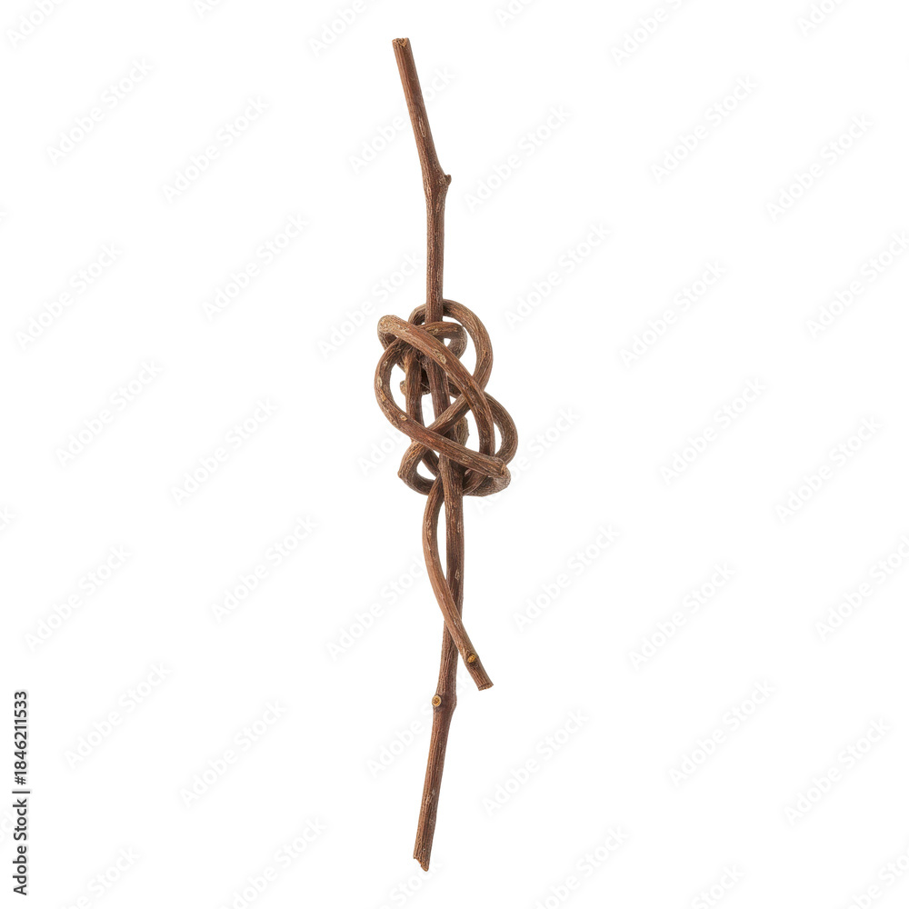 Obraz premium Intricate natural knot formed by intertwined twigs on a stark transparent backdrop